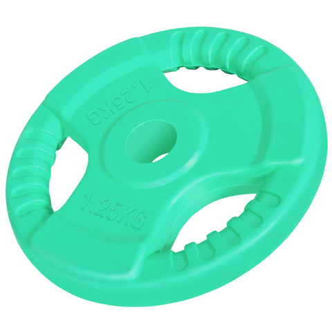 Kumipinnoitteinen levypaino otekahvoilla 1,25 kg 30 mm