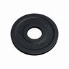 Valurautainen levypaino 1,25 kg 50 mm