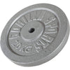 Valurautainen levypaino 20 kg, 30 mm