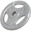 Valurautainen levypaino otekahvoilla 5 kg 30 mm