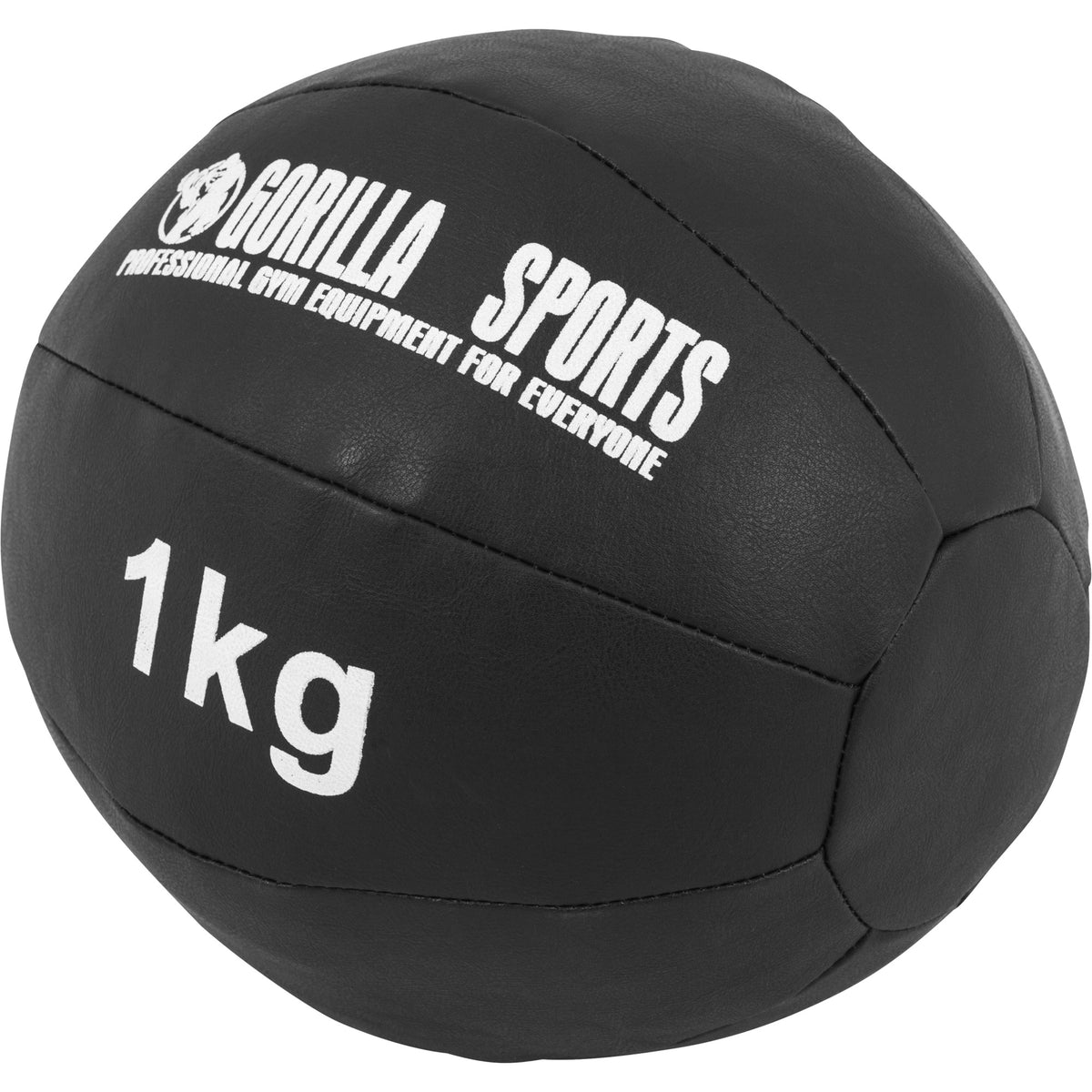 Wall Ball kuntopallosetti 55 kg 1–10 kg