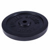 Valurautainen levypaino 30 kg 30 mm