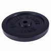 Valurautainen levypaino 10 kg 30 mm