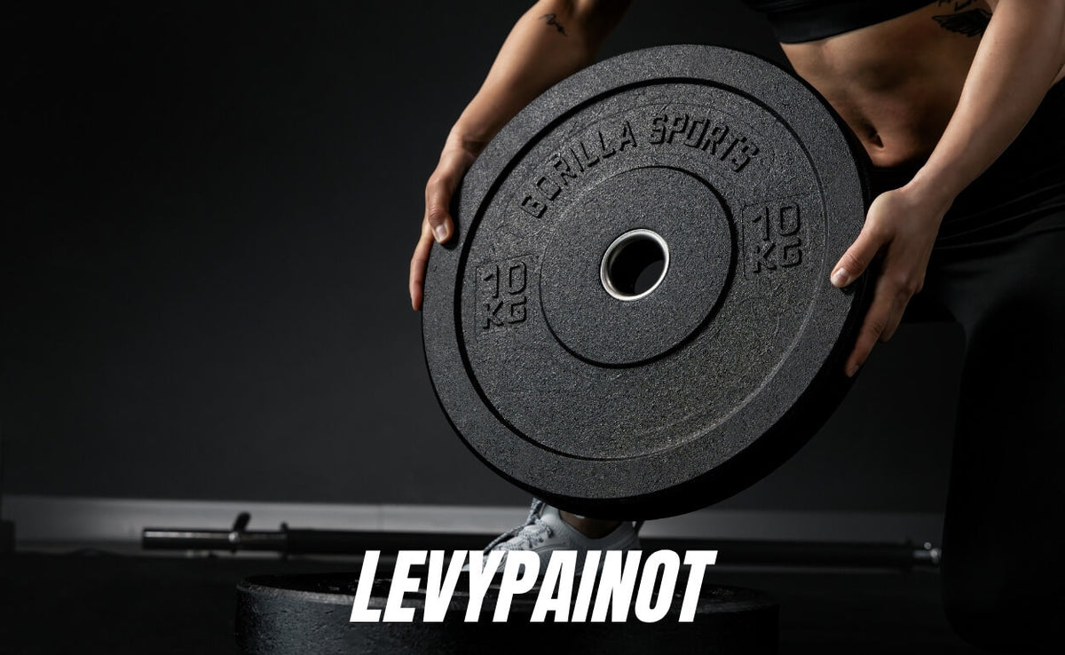 Levypainot