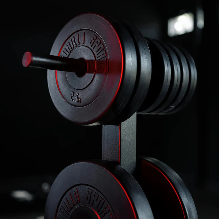 Vinyylilevypainosetti 30 kg 30 mm